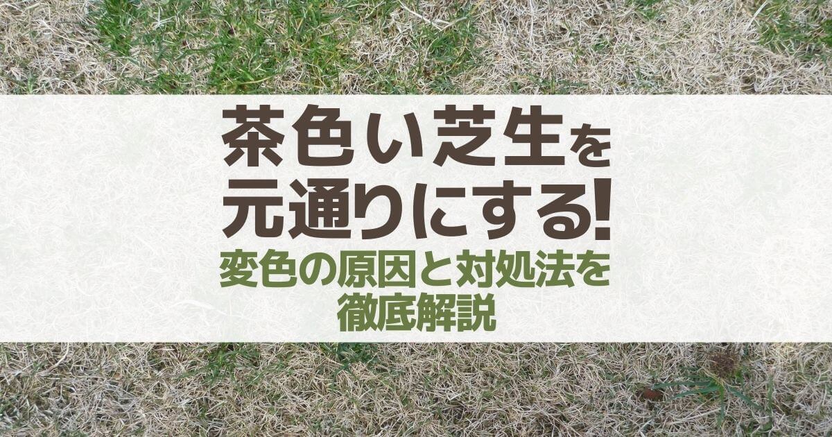 茶色い芝生を元通りにする！変色の原因と対処法を徹底解説