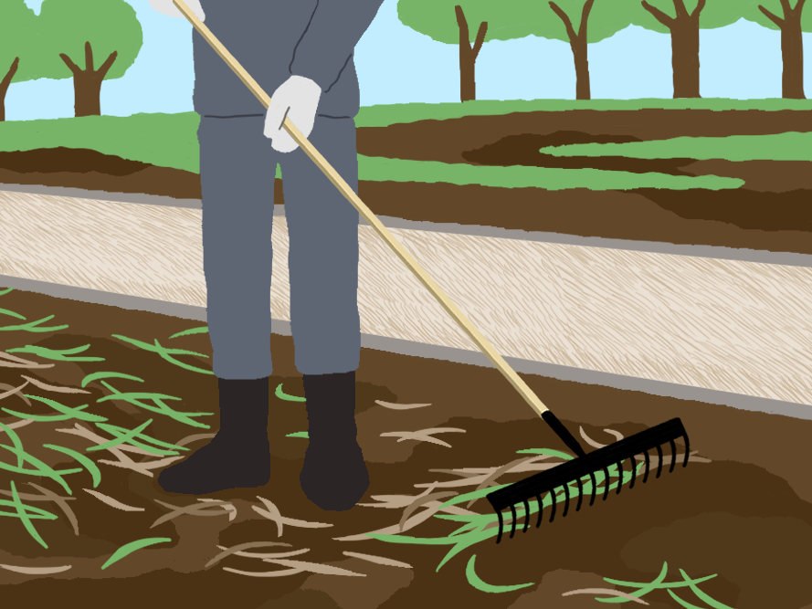 草むしりは道具を使うのが便利 雑草対策を簡単にするコツは準備にあり伐採 剪定 草刈りなどお庭の悩みを最短即日で業者が解決 お庭110番