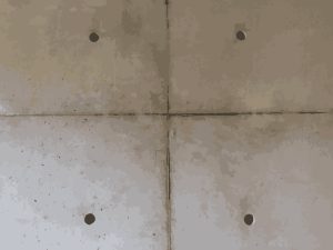 防草工事とはたとえば何があるの?