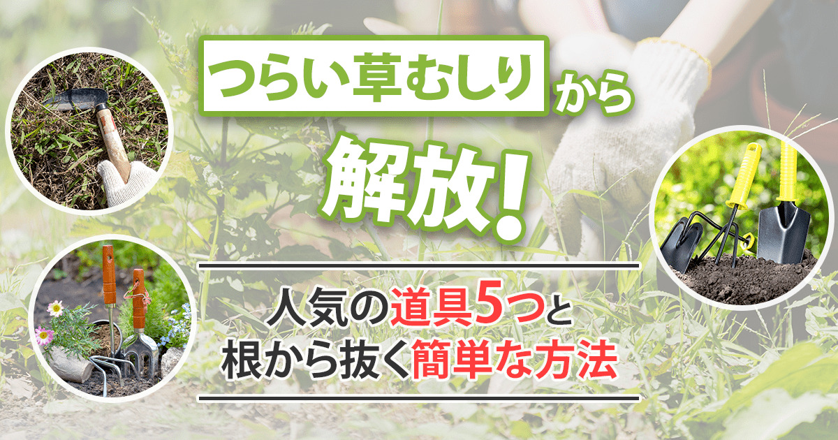 草むしりが楽になる便利な道具とコツを紹介！根から除去してお庭スッキリ｜お庭110番