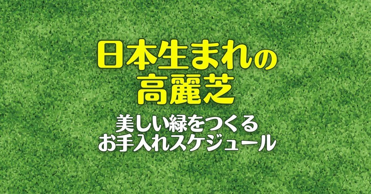 日本生まれの高麗芝美しい緑をつくるお手入れスケジュール