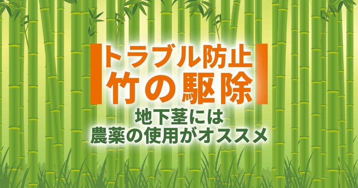 トラブル防止　竹の駆除 地下茎には農薬の使用がオススメ