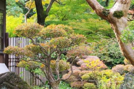 これだけ覚えれば安心！お庭のお手入れを任せられる植木屋さんの選び方