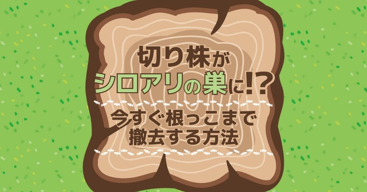 切り株がシロアリの巣に！？今すぐ根っこまで撤去する方法