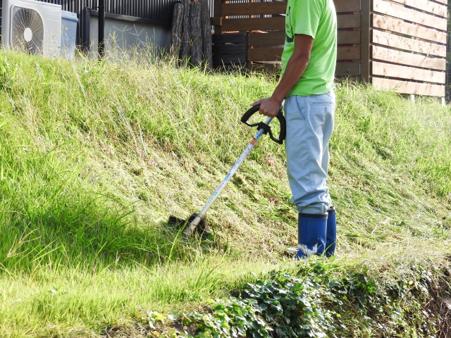 畑の雑草対策・駆除は早めにおこなった方がいいワケ