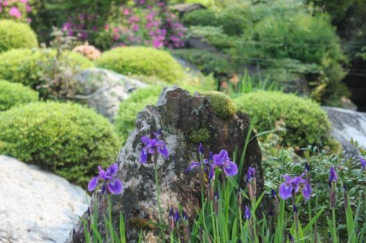 庭石の置き方のポイントは？石の特徴を活かして理想的な庭園を実現！