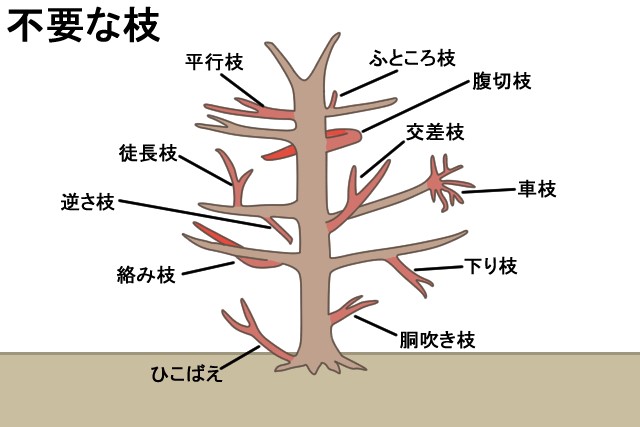 不要な枝