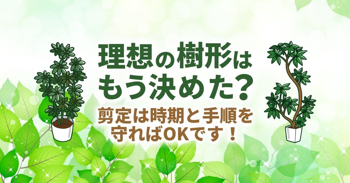 ヒイラギの剪定方法 初心者でもできるコツ 最適な時期を教えます お庭110番