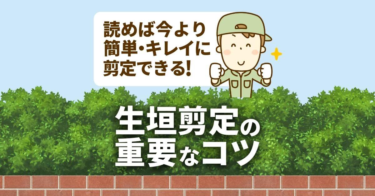 生垣剪定の重要なコツ