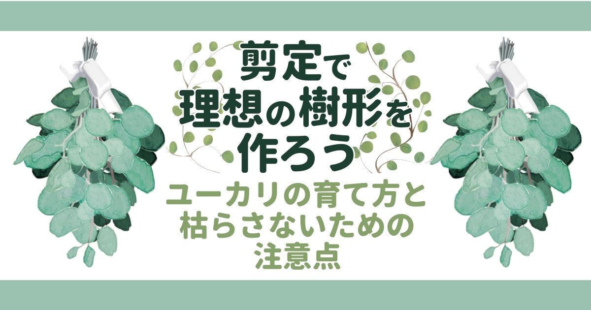 ユーカリ剪定の時期と方法 失敗すると枯れる 手入れの基本と植え替えのコツ お庭110番