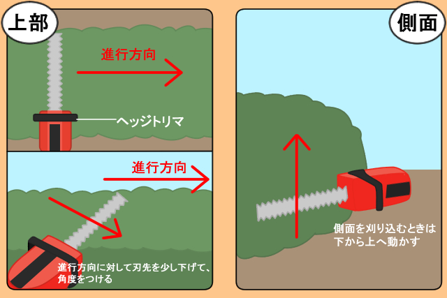 生垣剪定の時期と方法 はさみでの剪定方法からバリカンの使い方まで お庭110番