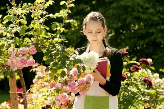 ヒイラギの剪定方法 初心者でもできるコツ 最適な時期を教えます伐採 剪定 間伐 芝刈り 草刈り 草取り 草むしりが3000円 税抜 お庭110番