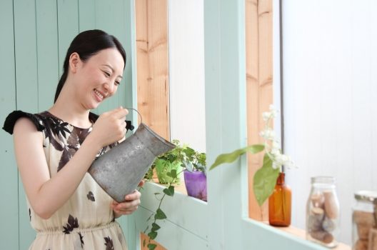【庭木で人気】モッコクの特徴を知って育てる
