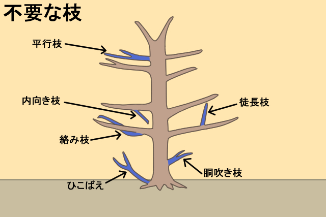 不要な枝