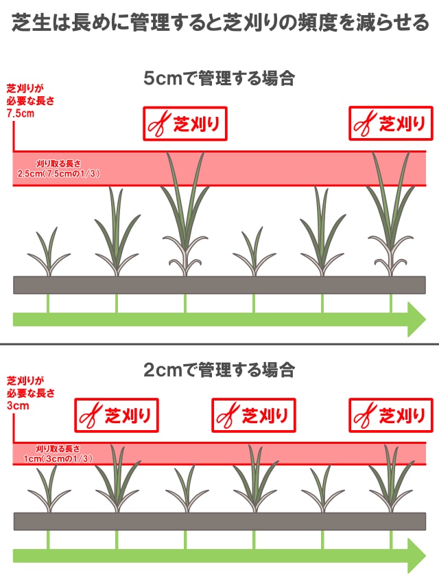 芝刈り 頻度 長さ