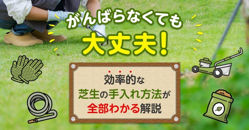 がんばらなくても大丈夫！効率的な芝生の手入れ方法が全部わかる解説