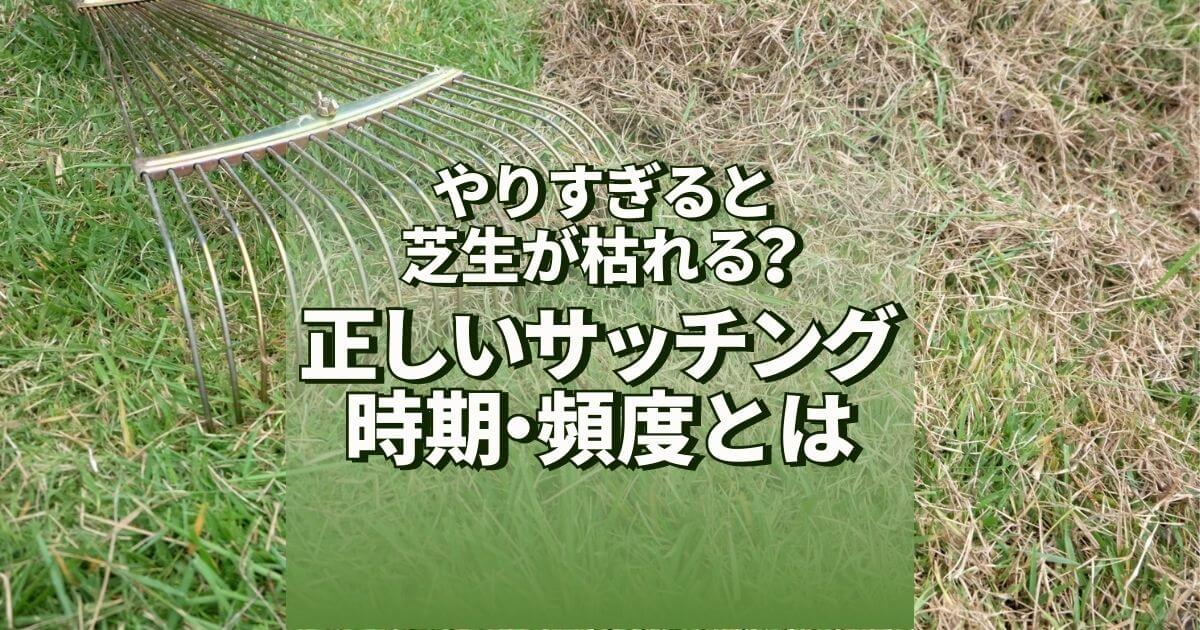 やりすぎると芝生が枯れる？正しいサッチング時期・頻度とは