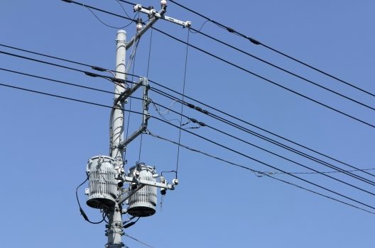 隣家へのはみだし・電線への接触