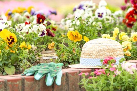 庭の花壇をオシャレにレイアウトしよう！花壇にオススメな植物も公開