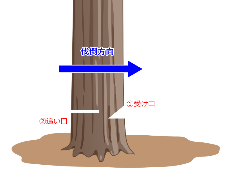 伐採の流れ