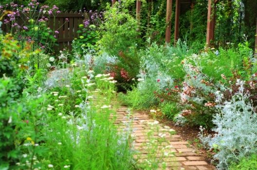 庭で植物を育てよう！【花壇で育てる植物】