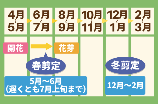 モッコウバラの剪定方法と時期 誘引や肥料など手入れの仕方もご紹介 お庭110番