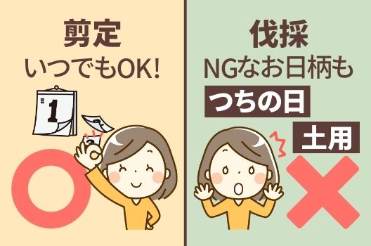剪定豆知識!「木を切ってはいけない日」ってあるの?