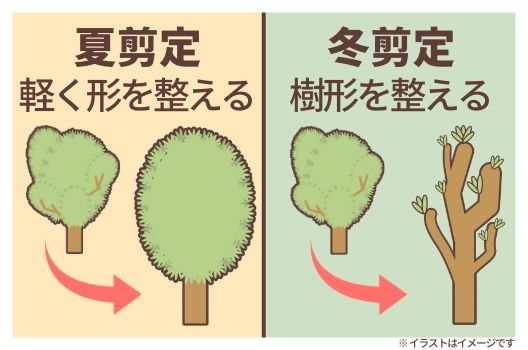 図解入り 庭木剪定の基本 植木の種類ごとのお手入れ方法と剪定時期 お庭110番