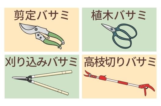 図解 庭木の剪定の基本 植木の種類ごとのお手入れ方法と剪定時期伐採 剪定 草刈りなどお庭の悩みを最短即日で業者が解決 お庭110番 図解 庭木の剪定の基本 植木の種類ごとのお手入れ方法と剪定時期伐採 剪定 草刈りなどお庭の悩みを最短即日で業者が解決 お庭110番