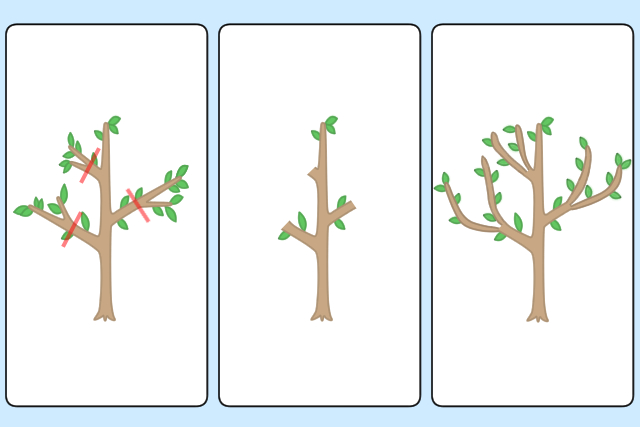 図解入り 庭木剪定の基本 植木の種類ごとのお手入れ方法と剪定時期 お庭110番