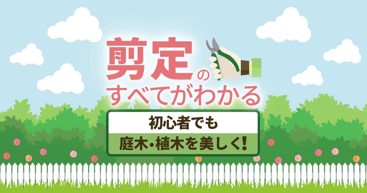 図解入り 庭木剪定の基本 植木の種類ごとのお手入れ方法と剪定時期 お庭110番