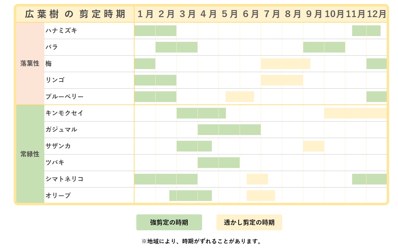 図解 剪定の基本がすぐにわかる 方法 時期 道具の総まとめ伐採 剪定 間伐 芝刈り 草刈り 草取り 草むしりが3000円 税抜 お庭110番