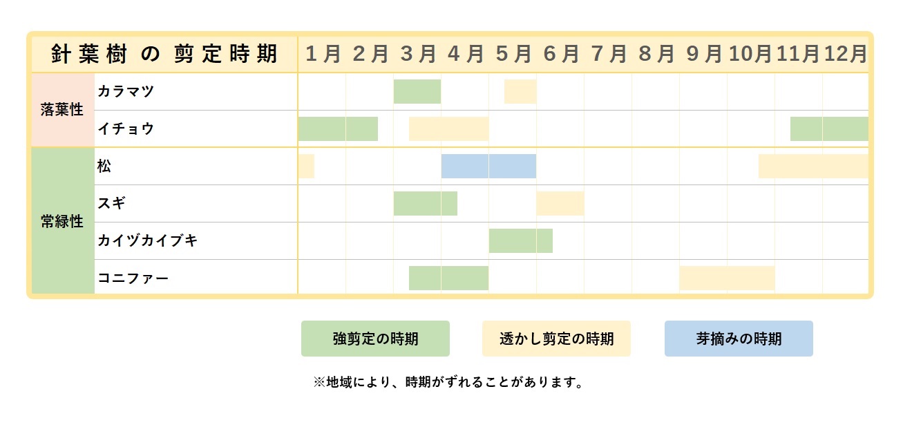 図解 剪定の基本がすぐにわかる 方法 時期 道具の総まとめ伐採 剪定 間伐 芝刈り 草刈り 草取り 草むしりが3000円 税抜 お庭110番