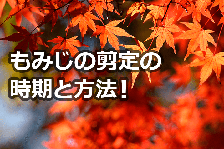 完了しました もみじ 枝枯れ 誕生 日 ライン 友達