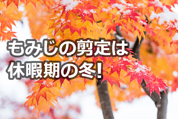 1000以上 もみじ の 剪定 の 仕方 誕生 日 ライン 友達