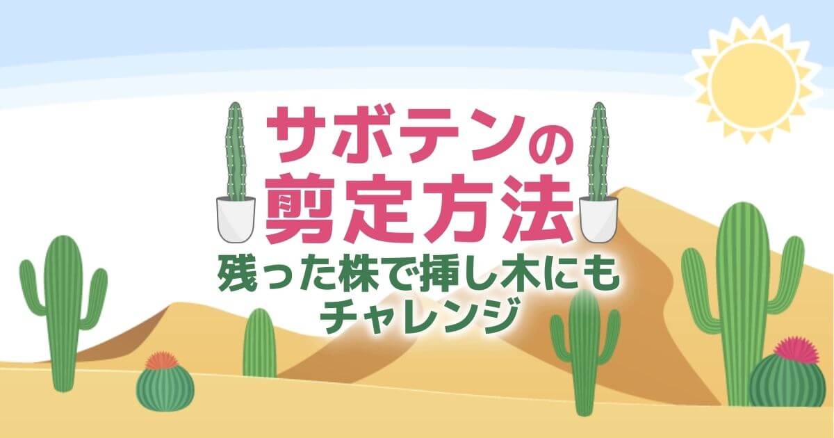 伸びすぎたサボテンの剪定方法 挿し木や栽培のポイントも解説 お庭110番