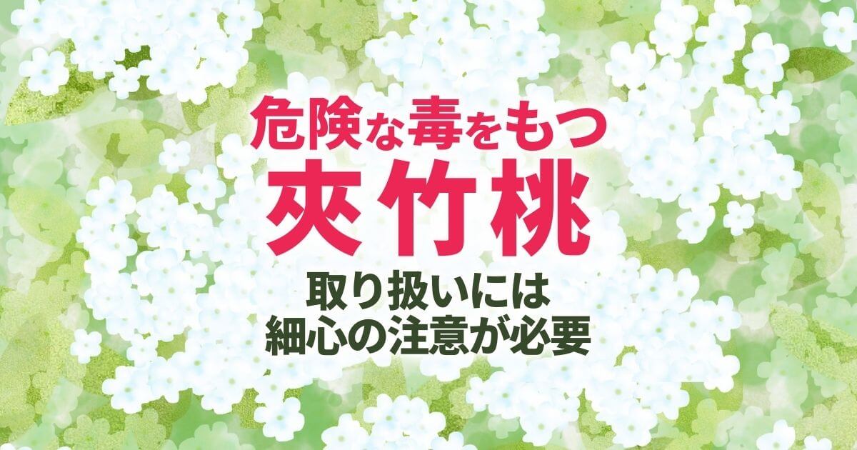 夾竹桃の剪定時期・方法・枝の処分の仕方まとめ