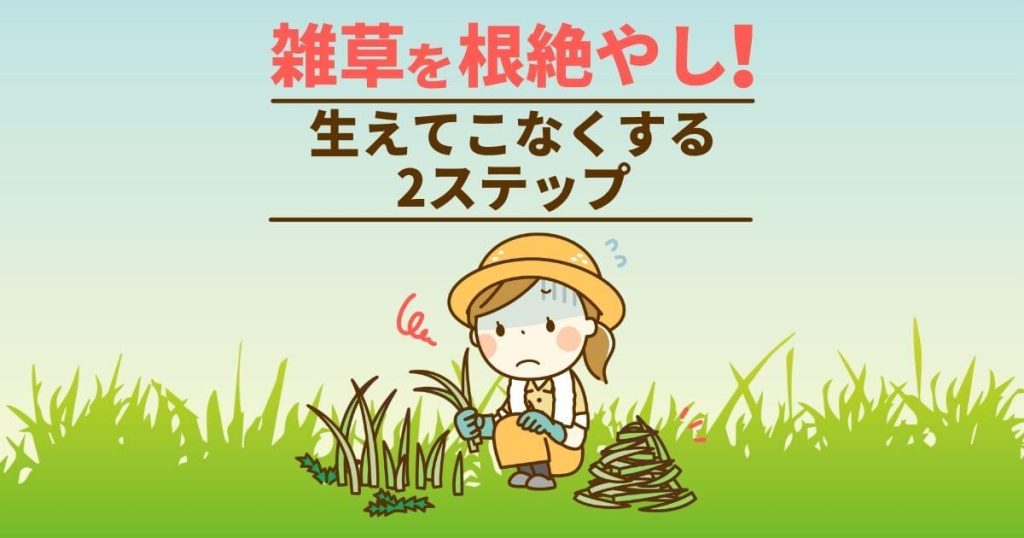 雑草を根絶やし！ 生えてこなくするための2ステップ