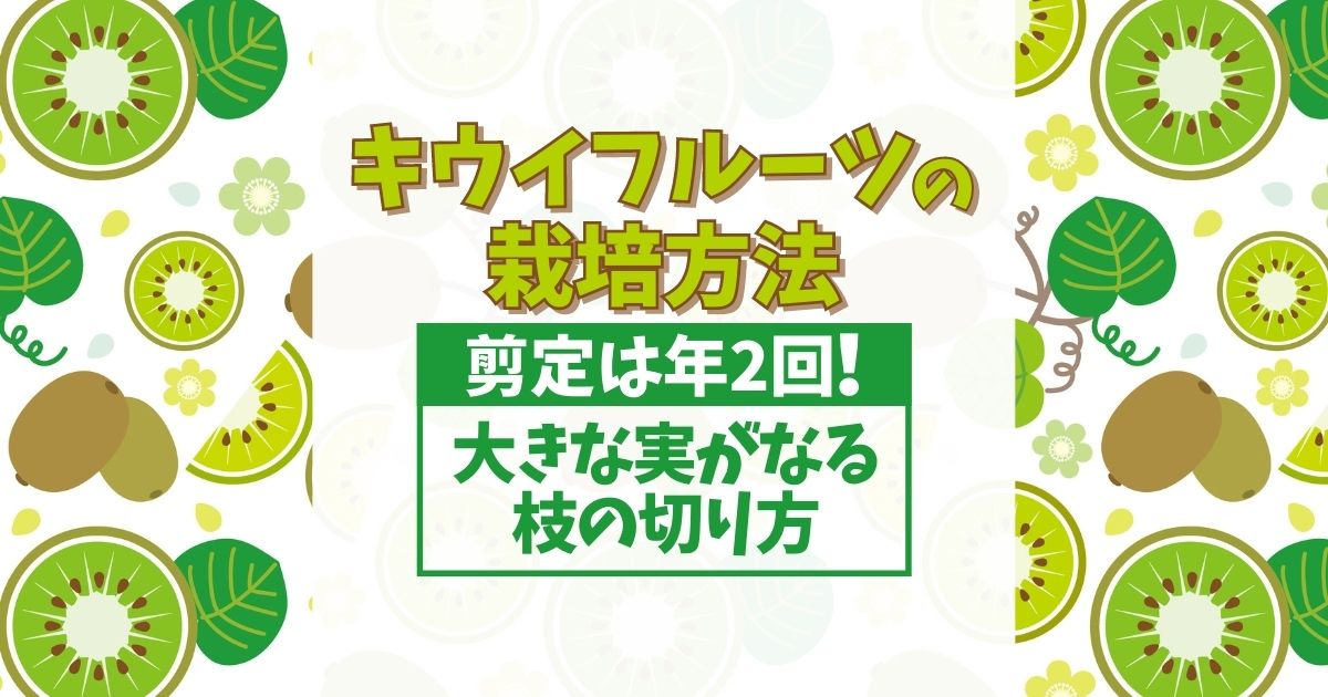 キウイの剪定は時期と切る枝を知れば簡単！大きなキウイフルーツを収穫するための栽培方法