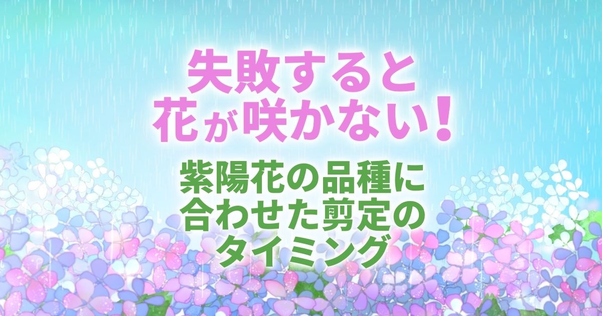 紫陽花の剪定は誰でも簡単 花付きをよくする剪定時期と切り方のコツ お庭110番 紫陽花の剪定は誰でも簡単 花付きをよくする剪定時期と切り方のコツ お庭110番