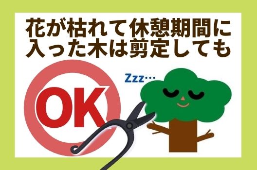 花木の剪定は時期を間違えると花が咲かなくなるので注意