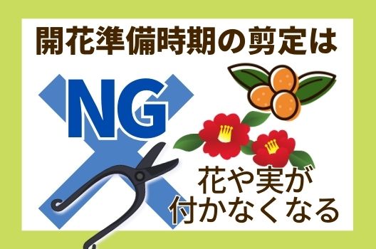 花木の剪定は時期を間違えると花が咲かなくなるので注意