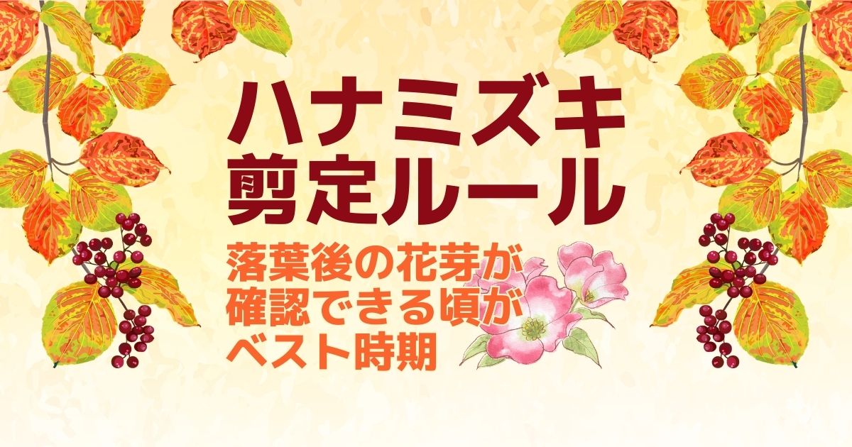 ハナミズキの剪定方法 時期 大きさを抑えながら樹形を整える育て方 お庭110番