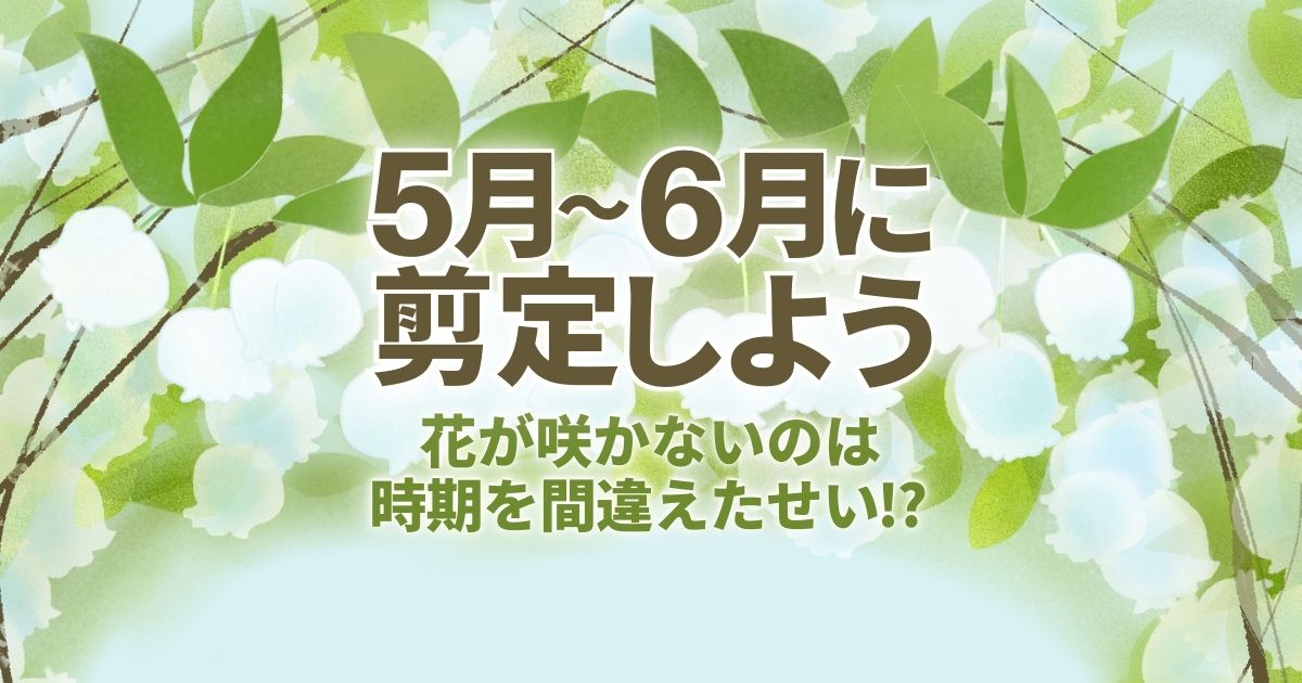 ドウダンツツジの剪定は時期と切る場所さえ知れば単純 花を咲かせる方法と手入れのコツ お庭110番