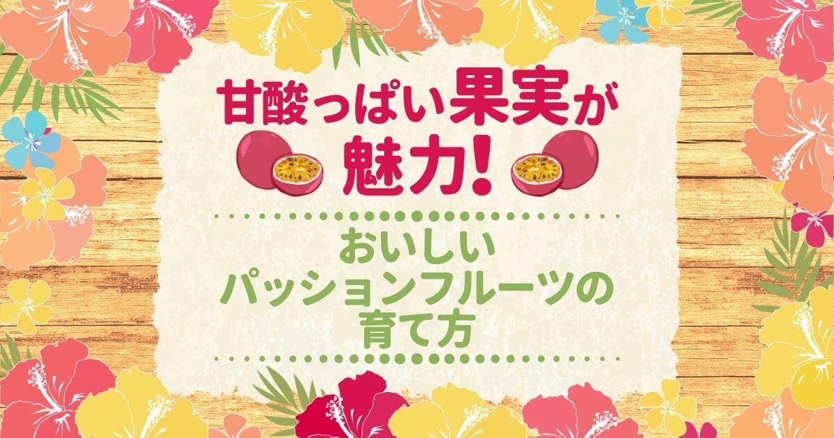 パッションフルーツの剪定時期 方法 果実を実らせる人工授粉の手順 お庭110番