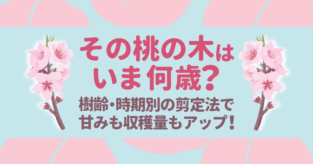 桃の剪定のコツ教えます 正しく剪定しておいしい桃を実らせよう お庭110番