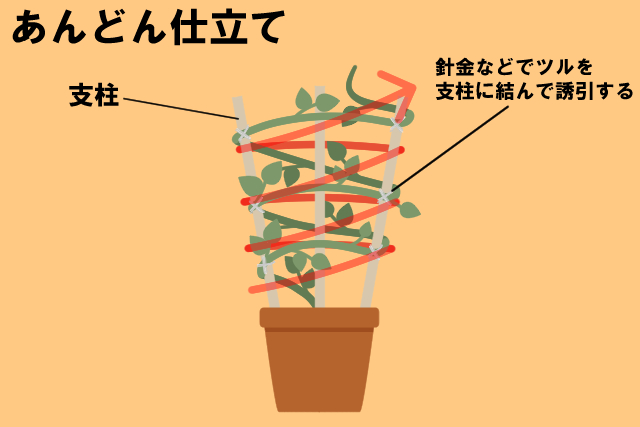 ブーゲンビリアの剪定時期と方法がまるわかり 長く花を楽しむためのお手入れ一覧 お庭110番