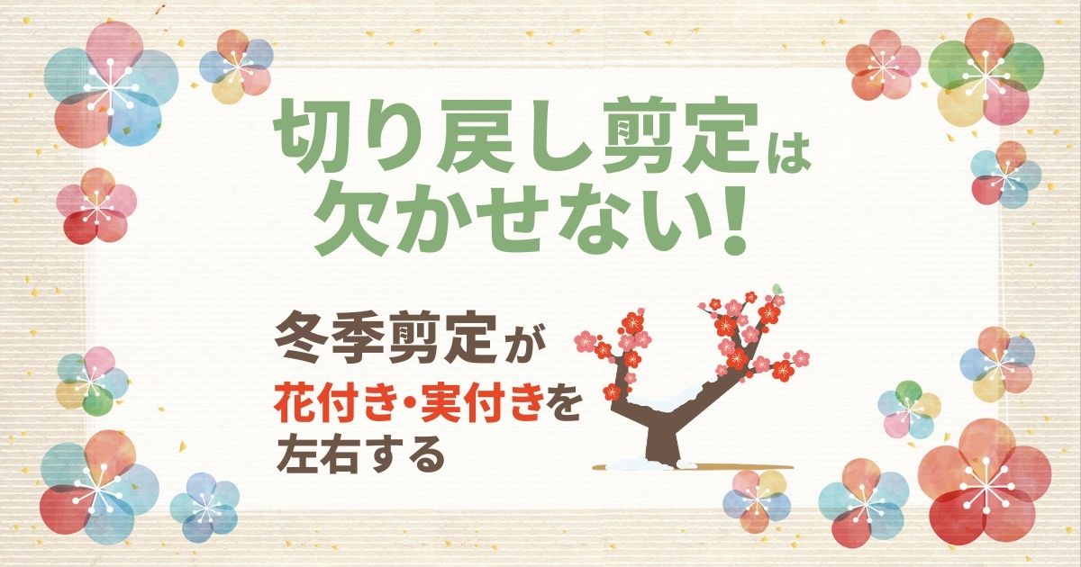 梅の木の剪定はいつどこを切るかがわかれば簡単 花付き 実付きをよくする剪定時期と方法 お庭110番