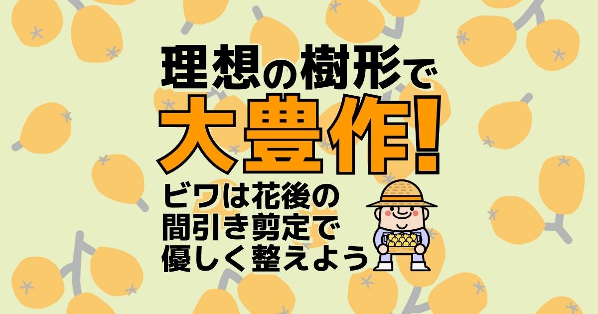 ビワ剪定の時期や方法は おいしい実を作るための知識 お庭110番