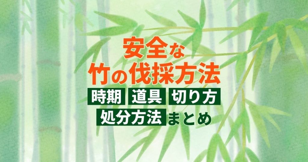 安全な竹の伐採方法時期・道具・切り方・処分方法まとめ